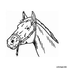 El material más usado en tête de. Coloriage Tete De Cheval Dessin Cheval A Imprimer