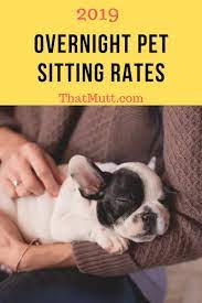 We will provide customized care to meet the needs of you and your pets. 2021 Overnight Pet Sitting Rates Thatmutt Com