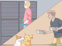 You also will need to set up a dedicated phone line and post office box to facilitate adoption efforts. How To Start An Animal Shelter With Pictures Wikihow