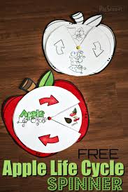 Free Apple Life Cycle Spinner Fun Free Activity To Help Kids Learn About Life Cycles In The Fall With A Apple Life Cycle Life Cycles Apple Life Cycle Craft