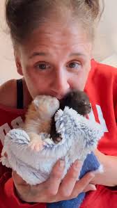 It’s kitten season and we have guests 😬 😁 💗 @purrfectcatrescue,  @karafrench7 and @rescue_outreach came together quickly to help these two 7  day old abandoned babies. Let’s help them grow ❤️