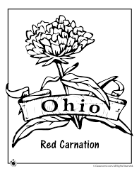 Ohio state buckeyes coloring pages. Ohio State Flower Coloring Page Woo Jr Kids Activities
