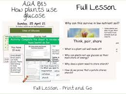 How do animals use glucose. B8 3 How Plants Use Glucose Aqa 9 1 Teaching Resources