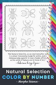 Natural Selection Color By Number Natural Selection Fun Worksheets Color