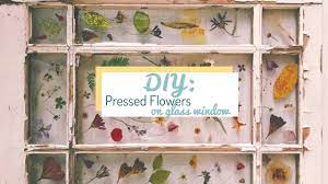 We did not find results for: Diy Home How To Tutorial Pressed Flowers On Glass Surface Youtube