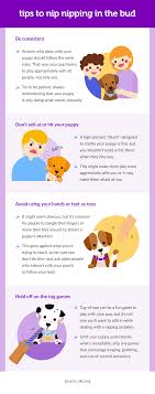 It will send a clear message that every time your puppy bites you, you will stop interacting with them. Safe And Humane Ways To Teach Your Puppy How To Stop Biting