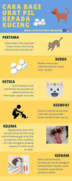 Air liur memang sering digunakan sebagai pelumas saat berhubungan seksual. Cara Membuka Mulut Kucing Enak