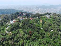 Now it's a popular tourist attraction to explore nature, have stunning panoramic views of the city, and visit attractions. Eco Warriors Ready To Save Penang Hill The Star