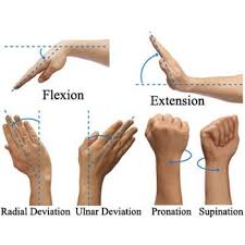 Exercises For Sore Wrists Hands Wrist Exercises Flexibility Workout Carpal Tunnel Relief