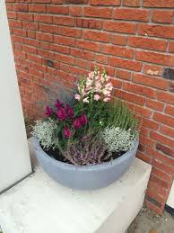 Idee Von Dana Weiss Auf Floriada Garten Deko Bepflanzung Pflanzen