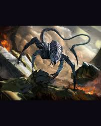 Image result for Monotes magnificus