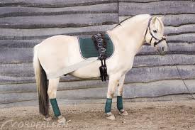 @helloh0rse @helloschleichh0rse #basteln #pferd #pferde. Pferdesachen Selber Machen Verschonert Und Verandert 360 Pferd