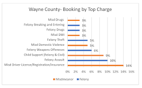 A Look At The Data Wayne County Jail Analysis Safe Just Michigan