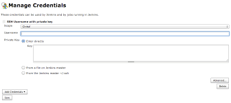 Just like telnet, ssh client provides users with a remote shell for the machine. Ssh Agent Jenkins Plugin