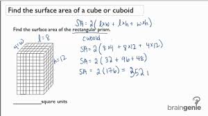 Class 10 maths surface area and volume|previous year questions. Surface Area Of Cuboid Solutions Examples Videos
