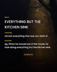 The expression has always been 'everything but the kitchen sink (i guess because the kitchen sink is fixed into place and can't be simply lifted out). Facebook