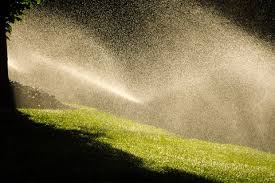 How many times a week should you water your lawn? The Best Time To Water Your Grass How Long To Water Grass