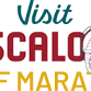 Visit Tuscaloosa Half Marathon + 5K