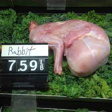 Protein Poisoning Wikipedia