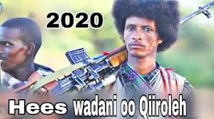 Wareysi fanaanka qarniga cawaale aaden. Download Abdi Kaamil Cawaale Hees Wadani 2020 Lyrics By Deeqow In Hd Mp4 3gp Codedfilm