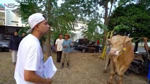 Idul fitri 2021 akan dirayakan pada hari kamis, 13 mei 2021. Raffi Ahmad Kurbankan 6 Sapi Dan 11 Kambing Di Hari Raya Idul Adha 2019 Tribun Palu