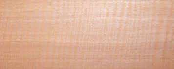 Image result for Pouteria altissima