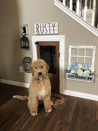 Under Staircase Dog Room Dog Rooms Puppy Room Dog Houses