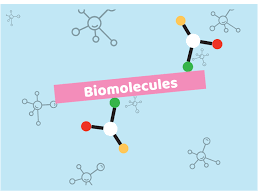 Check spelling or type a new query. Learn About Biomolecules Amino Acids Peptides And Proteins Chegg Com