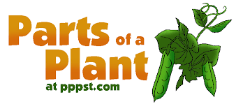 Free Presentations In Powerpoint Format For Parts Of A Plant Pk 12 Parts Of A Plant Plant Science Science Websites