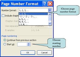 To convert roman numerals greater than 3,999 use the table below for converter inputs. Microsoft Word 2007 How To Number Some Pages In Roman Numerals And The Rest In Regular Numbers Super User