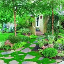 Irish Moss Adds A Classic Charm To An Informal Stepping Stone Path Flanked By River Birches Creepin Beautiful Home Gardens Beautiful Gardens Gorgeous Gardens