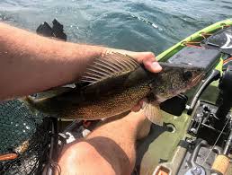 Pigeon Lake, Alberta | Angler'S Atlas