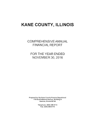 Keep in mind that the license is effective only in kane county and is valid for 60 days. Http Www Countyofkane Org Documents Finance 20department Comprehensive 20annual 20financial 20reports Fy16 20cafr Pdf