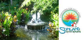 You can click on the new arrivals page to see the pictures of the new koi. Sunlandwatergardens Com Pond Supplies Pond Plants Pond Fish Aquatic Plants