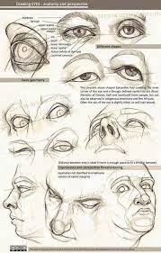 Here is the reference photo we will be working with Realistic Drawing Reference Dump Realistic Drawings Eye Anatomy Anatomy Art