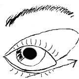 Check spelling or type a new query. Schminktipps Make Up Tipps Schminken Einfach Erklart