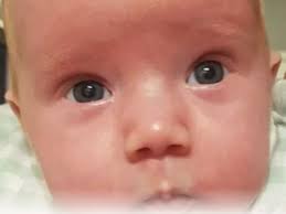 Every mum's worst nightmare' as family will never know what caused baby's  death