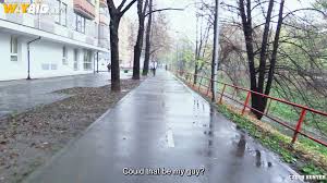 Czech Hunter 730 (Jenda Knotek) - Czech Hunter