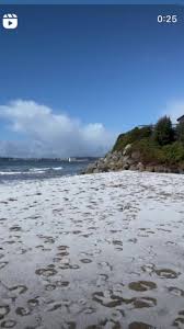 Image result for California Sand 2023 Santa Cruz