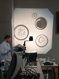 Antimicrobial hybrid cellulose-lignin beads – Topochemical Engineering & Bioinspired  Fabrication