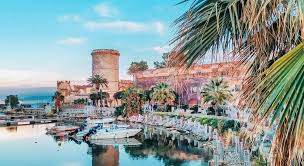 Image result for Milicia