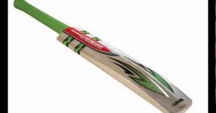 Gn Evo Blaze Kashmir Willow Youth Bat Forsale At Procricshop Cricket Bat Bat Willow