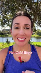 Fire Ant Bites/Stings Symptoms: burning, stinging sensation,  redness/swelling. The stings turn into little blisters. Don’t pop them!  Treatment: 1. Wash the area with soap and water. 2. antihistamines ...