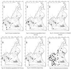 Image result for Tristicha trifaria