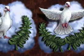 Image result for Polystachya kermesina