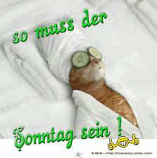 Der morgenvogel benachrichtigt alle über die ankunft eines neuen tages. Guten Morgen Schonen Sonntag Gifs Bilder Und Spruche Fur Whatsapp Und Facebook Kostenlos