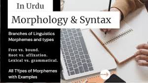 Maybe you would like to learn more about one of these? Morphology In Linguistics Morpheme And Its Types Free Bound Inflectional Derivational Affixes Youtube