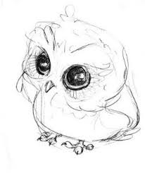 Pin By Mykle Webster On Draw Cute Owl Drawing Owls Drawing Cute Animal Drawings