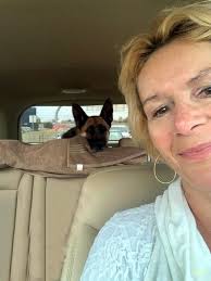 Energetic puppy loves snuggles and adventures