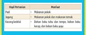 Sebutkan Masing Masing 3 Contoh Dan Manfaat Sumber Daya Alam Hasil A Pertanian B Perkebunan C Brainly Co Id